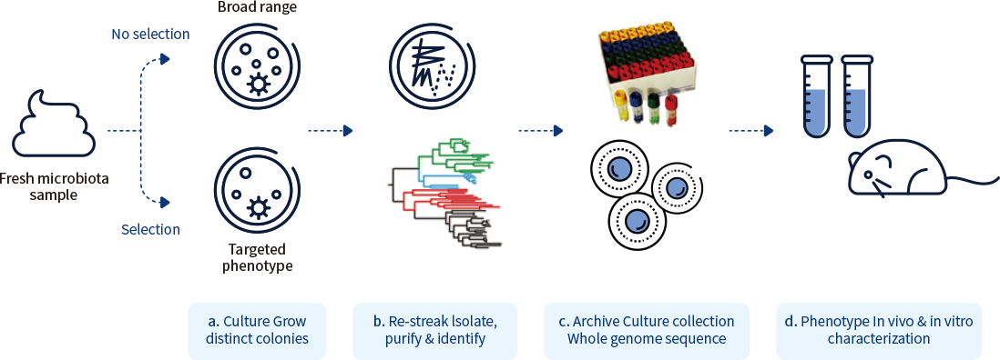 Animals in a bacterial world, a new imperative for the life sciences, 2016년 Culturing of
					‘unculturable’ human microbiota reveals novel taxa and extensive sporulation