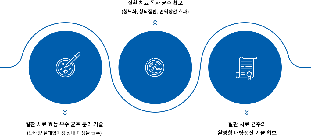 질환 치료 효능 우수 균주 분리기술(난배양 절대혐기성 장내 미생물 균주)/질환 치료 독자 균주 확보(항노화, 항뇌질환, 면역항암 효과)/ 질환 치료 균주의 활성형 대량생산 기술 확보